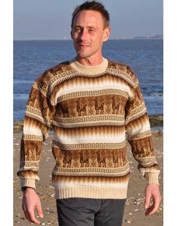 Pullover jacquard beige