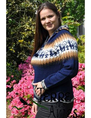 Pull à capuche Azul marino...