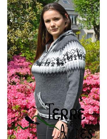 Pull à capuche en laine...