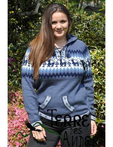 Pull à capuche en laine...