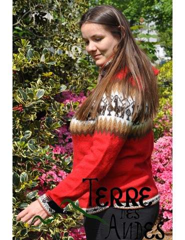 Pull à capuche femme rouge...