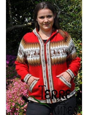 Tricot couleur rouge...