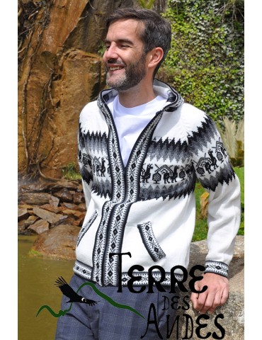 Veste à capuche Homme...