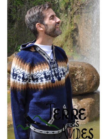 Pull à capuche en laine...