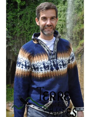 Pull à capuche en laine...