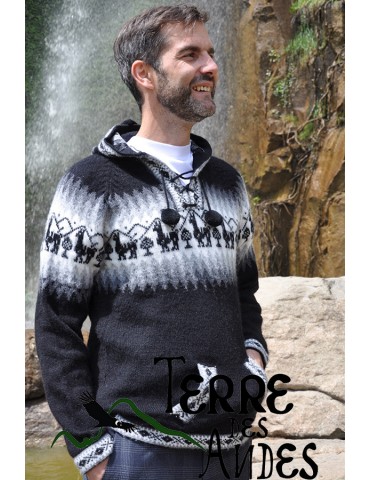 Pull à capuche en laine...