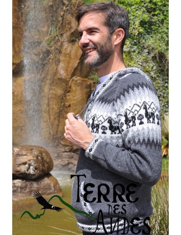 Pull à capuche en laine...