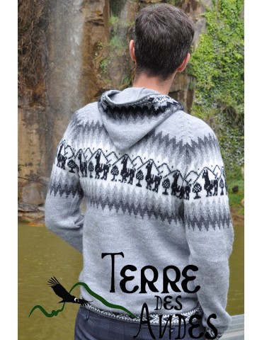 Pull-over à capuche gris...