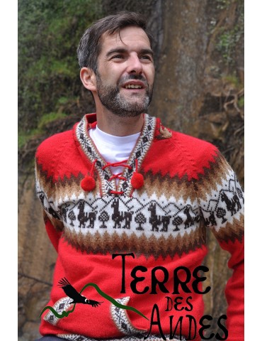 Pull-over à capuche en...