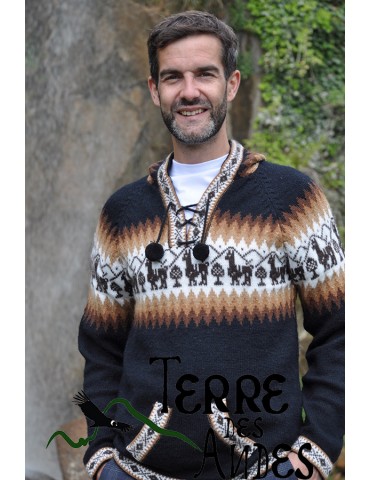 Pull à capuche noir azabache