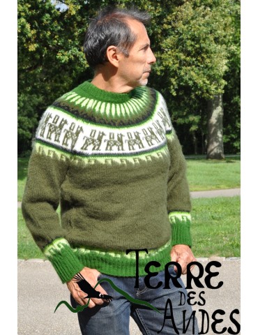 Pull-over épais en laine...