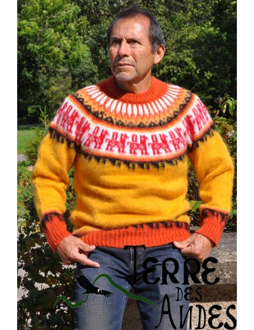 Pull-over épais en laine...