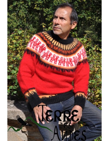 Pull-over véritable Alpaga