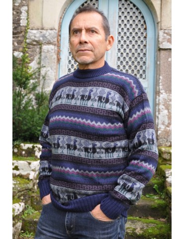 Pullover jacquard bleu