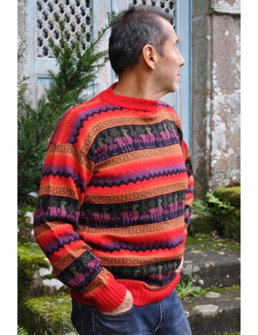 Pullover jacquard couleur...