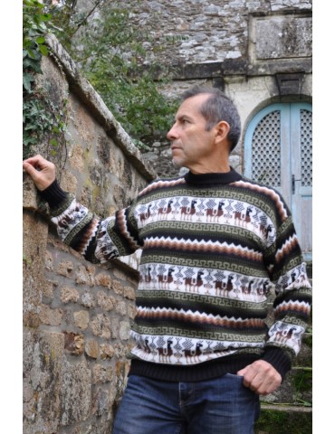 Pullover jacquard homme