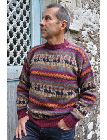 Pullover jacquard rouge des...