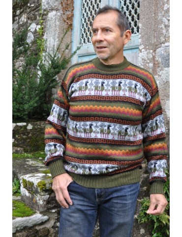 Pullover jacquard beige kaki