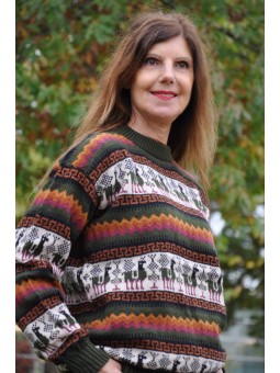 Pull-over jacquard femme...