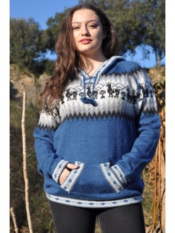 Pull à capuche bleu Altiplano