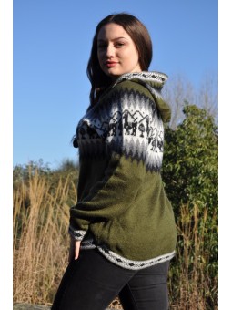 Pull à capuche vert en...