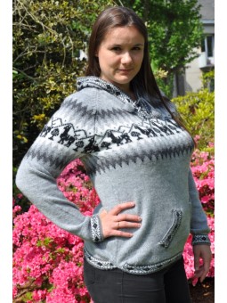 Pull à capuche couleur gris