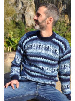 Pullover jacquard bleu